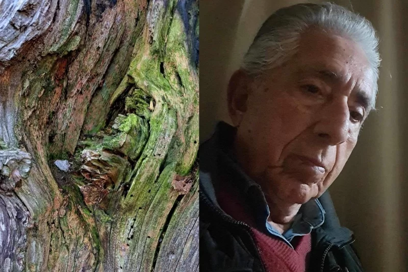 O Instituto Myra Eliane sediará a exposição fotográfica “Naturaleza Abstracta”